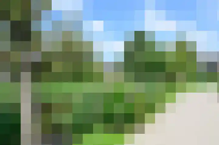 Scholekster 7 Kockengen thumbnail 26