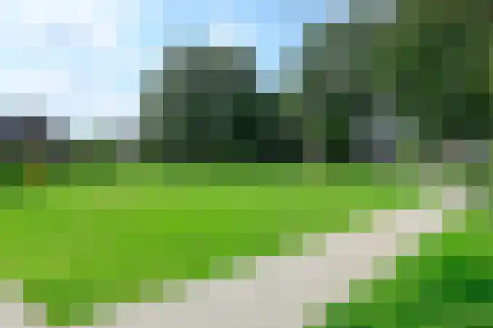 Scholekster 7 Kockengen thumbnail 27