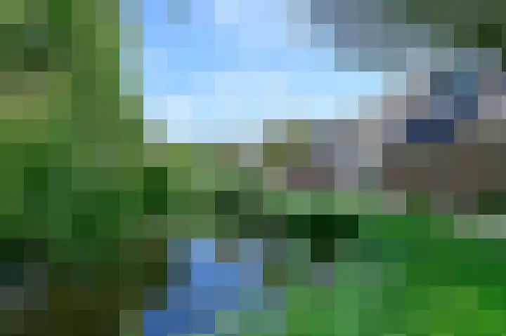 Scholekster 7 Kockengen thumbnail 28