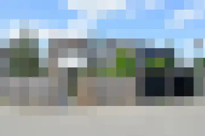 Scholekster 7 Kockengen thumbnail 29