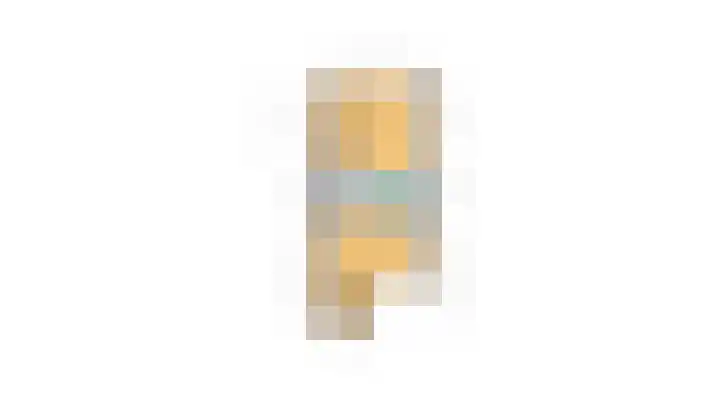 Scholekster 7 Kockengen thumbnail 31
