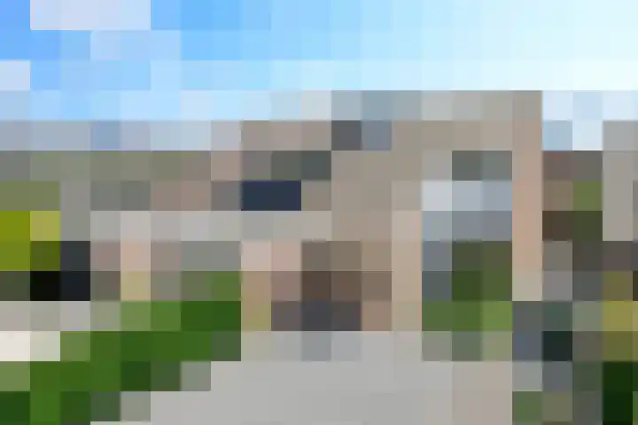 Scholekster 7 Kockengen thumbnail 4