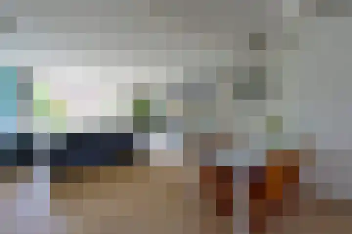 Scholekster 7 Kockengen thumbnail 6