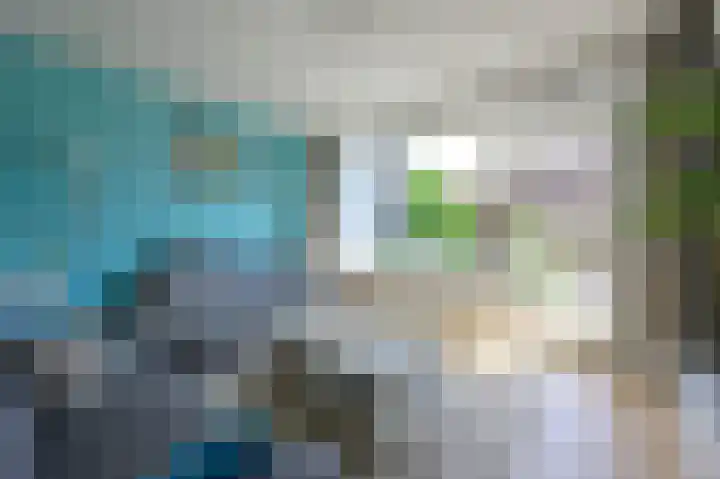 Scholekster 7 Kockengen thumbnail 7