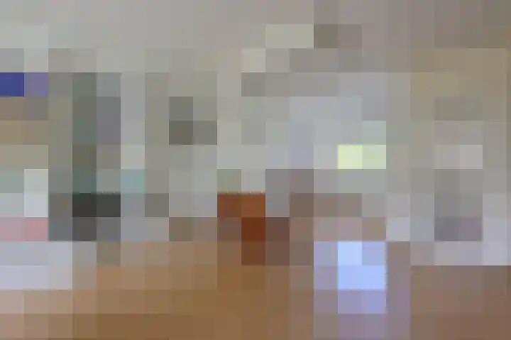 Scholekster 7 Kockengen thumbnail 9
