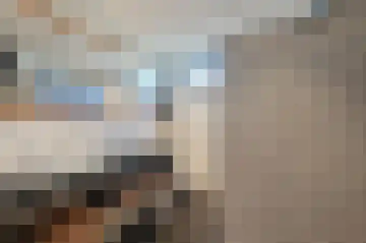 Scholekster 95 Eemnes thumbnail 14