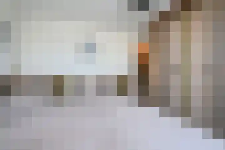 Scholekster 95 Eemnes thumbnail 18