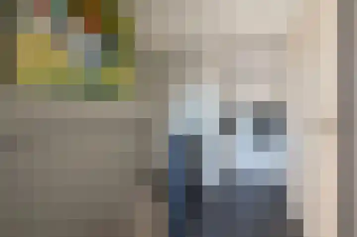 Scholekster 95 Eemnes thumbnail 21