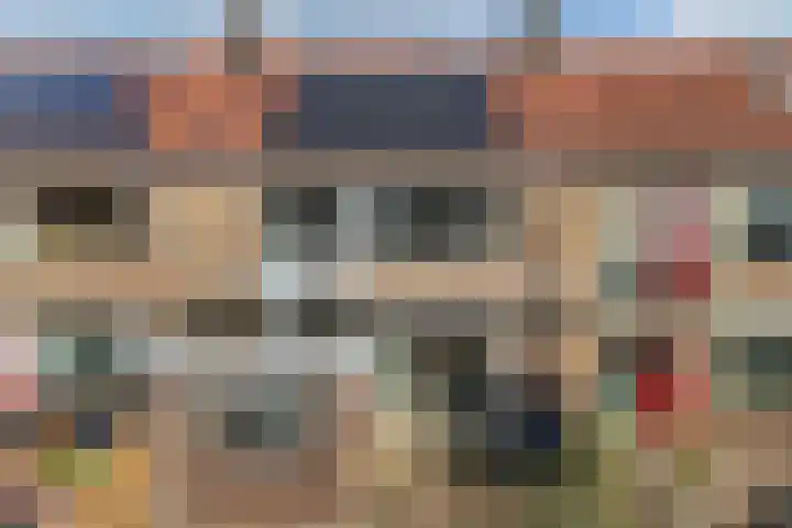 Scholekster 95 Eemnes thumbnail 23