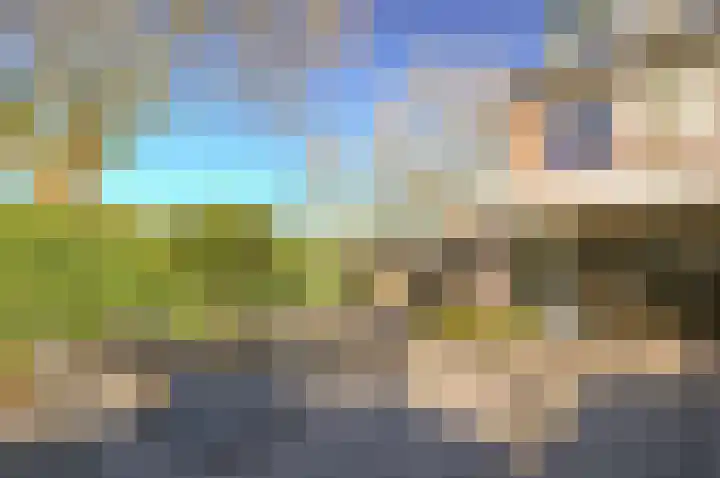 Scholekster 95 Eemnes thumbnail 30