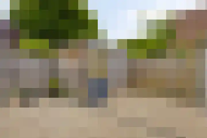 Scholekster 95 Eemnes thumbnail 33