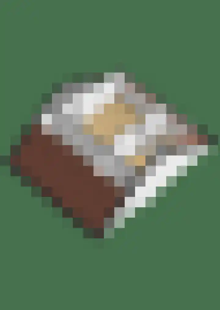 Scholekster 95 Eemnes thumbnail 39