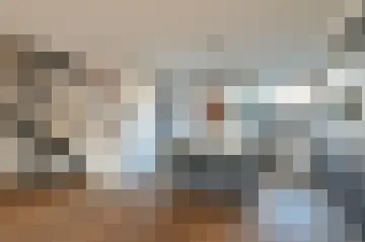 Scholekster 95 Eemnes thumbnail 7