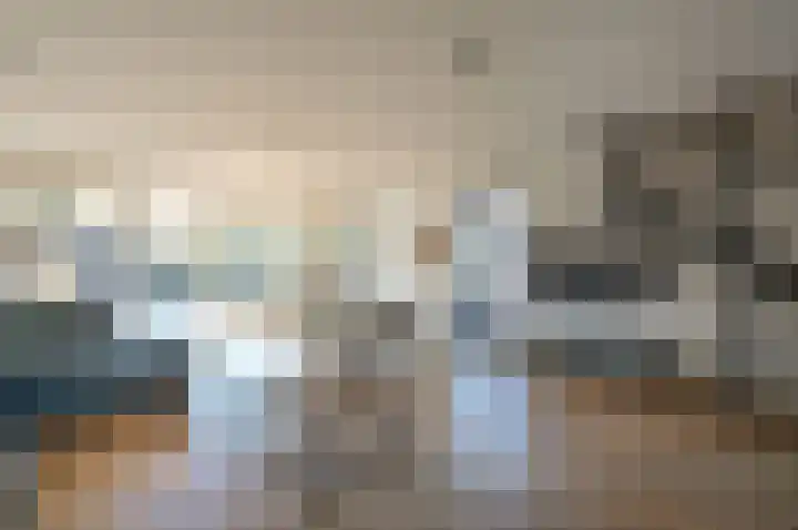 Scholekster 95 Eemnes thumbnail 9