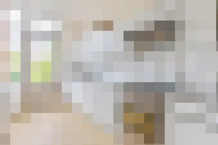 Scholeksterstraat 17 Leiderdorp thumbnail 17