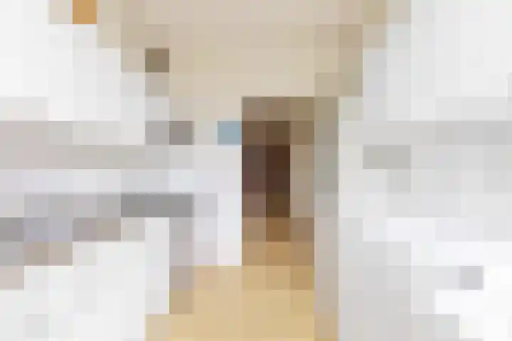 Scholeksterstraat 17 Leiderdorp thumbnail 19