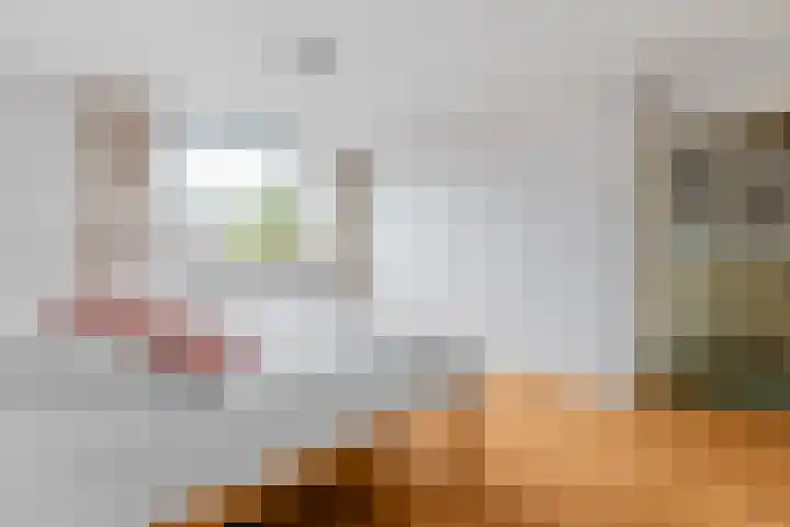 Scholeksterstraat 17 Leiderdorp thumbnail 24