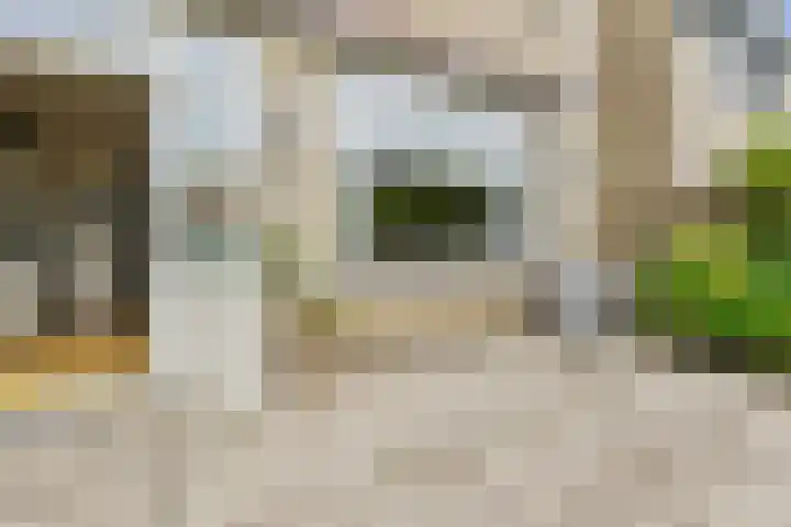 Scholeksterstraat 17 Leiderdorp thumbnail 41