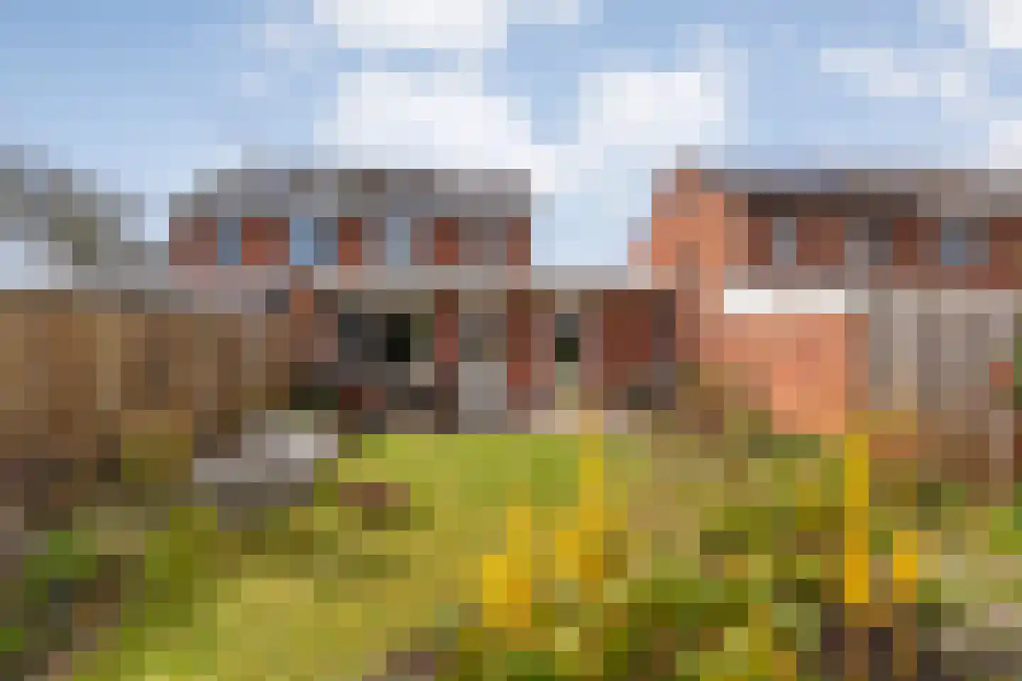 Scholtensweg 28 Wesepe
