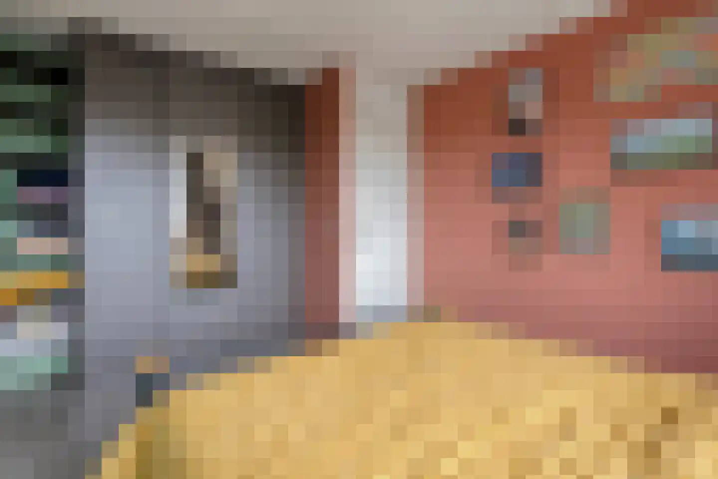 Scholtensweg 28 Wesepe thumbnail 31