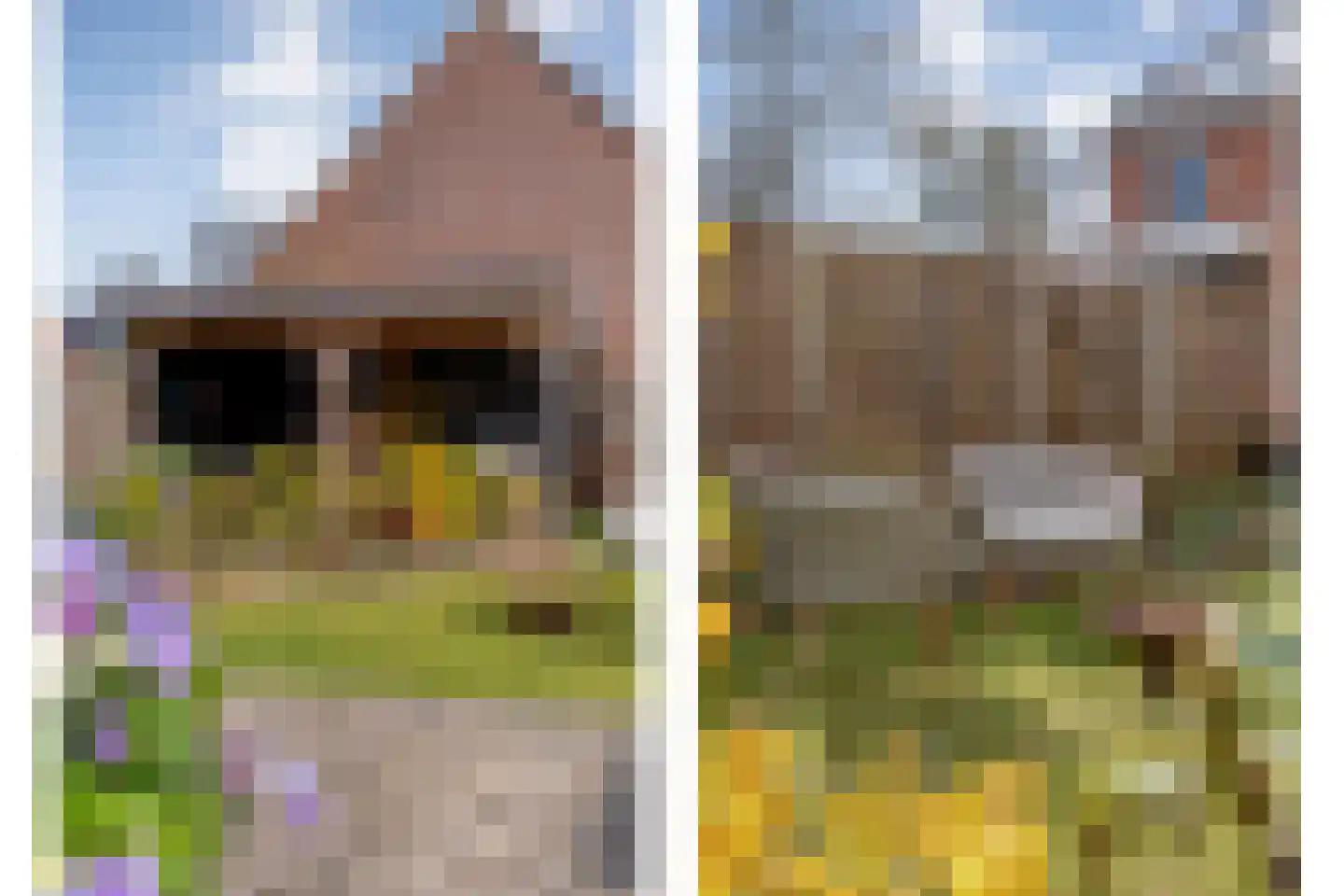 Scholtensweg 28 Wesepe thumbnail 44