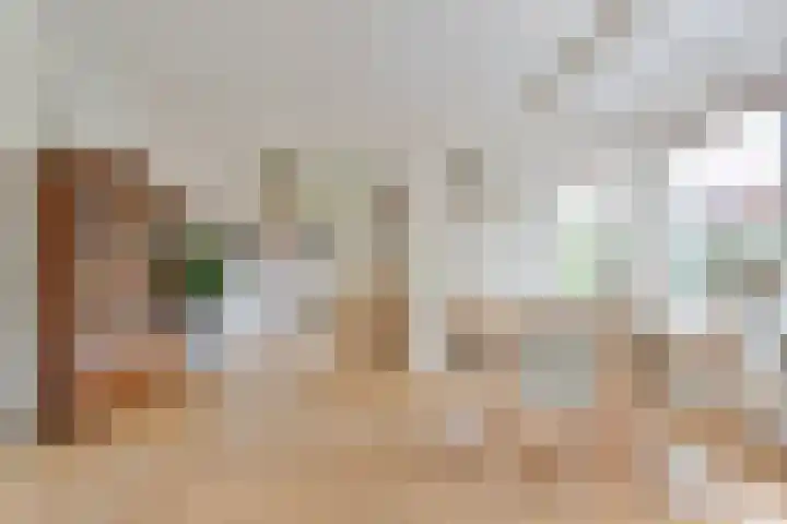 Scholtieskamp 7 Ruinerwold thumbnail 11