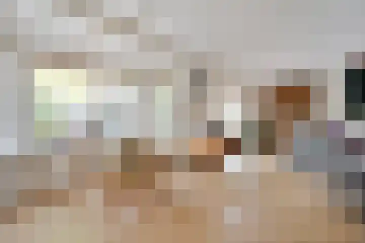 Scholtieskamp 7 Ruinerwold thumbnail 12