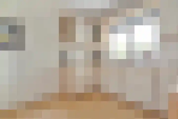 Scholtieskamp 7 Ruinerwold thumbnail 13