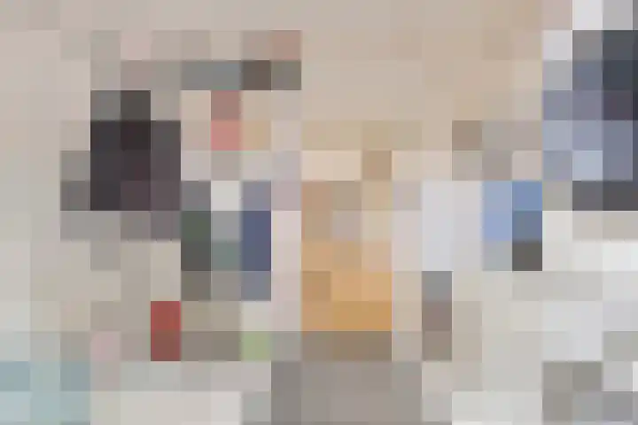 Scholtieskamp 7 Ruinerwold thumbnail 16