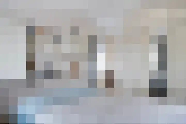 Scholtieskamp 7 Ruinerwold thumbnail 20