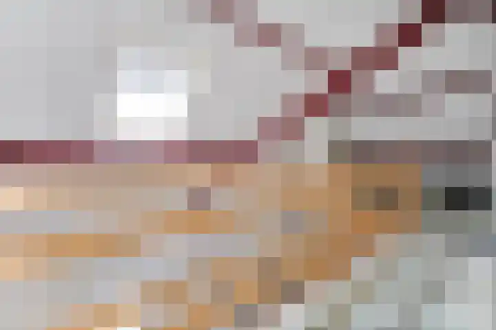 Scholtieskamp 7 Ruinerwold thumbnail 24