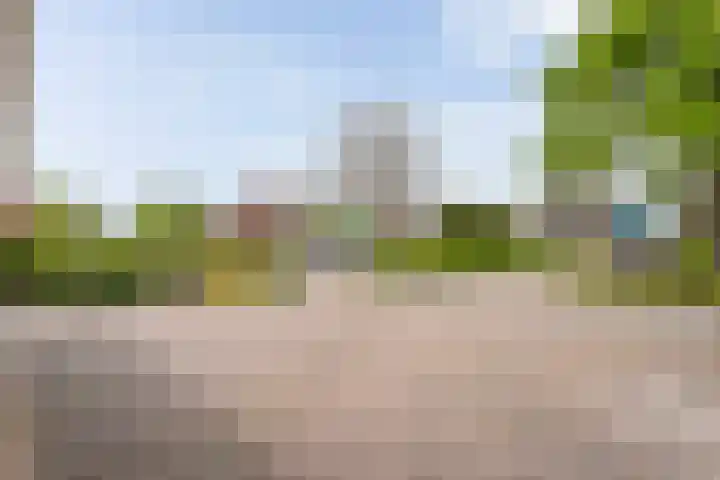 Scholtieskamp 7 Ruinerwold thumbnail 29