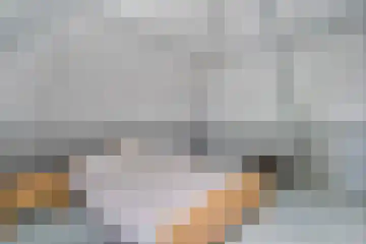 Scholtieskamp 7 Ruinerwold thumbnail 32