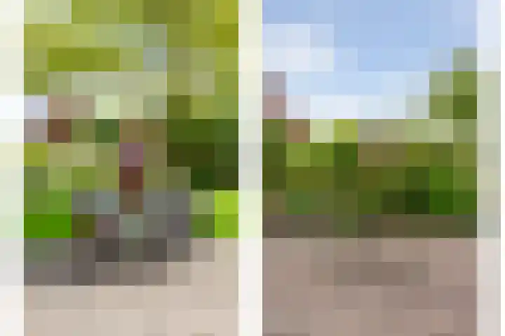 Scholtieskamp 7 Ruinerwold thumbnail 35