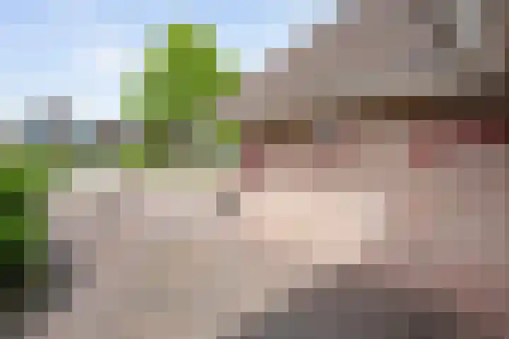 Scholtieskamp 7 Ruinerwold thumbnail 36