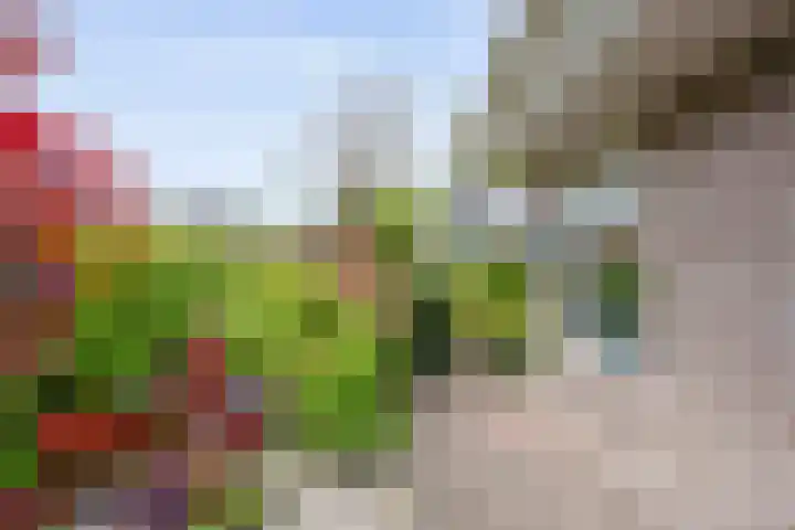 Scholtieskamp 7 Ruinerwold thumbnail 38