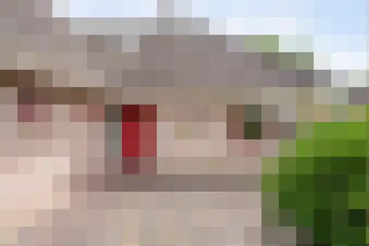 Scholtieskamp 7 Ruinerwold thumbnail 39