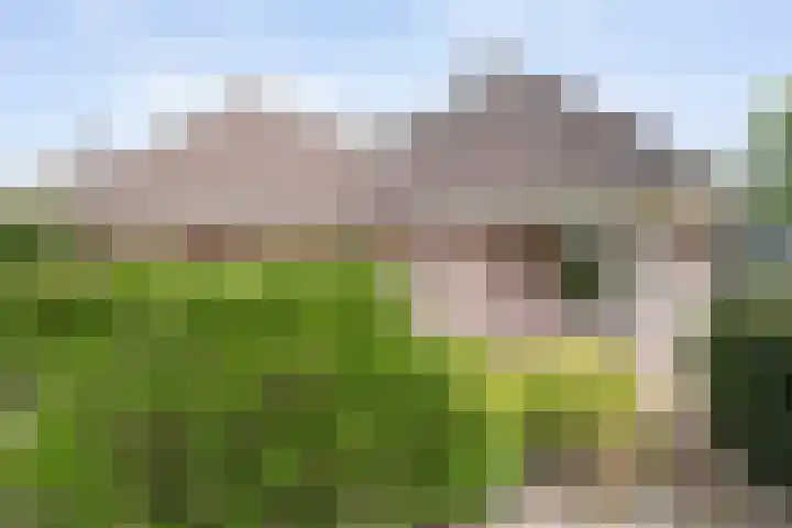 Scholtieskamp 7 Ruinerwold thumbnail 40