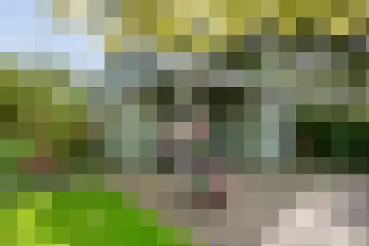 Scholtieskamp 7 Ruinerwold thumbnail 45