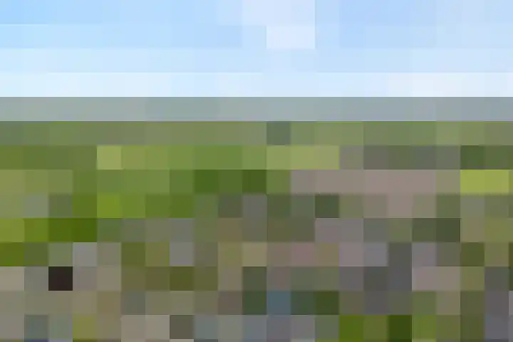 Scholtieskamp 7 Ruinerwold thumbnail 48