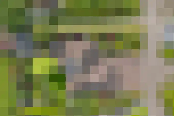 Scholtieskamp 7 Ruinerwold thumbnail 49