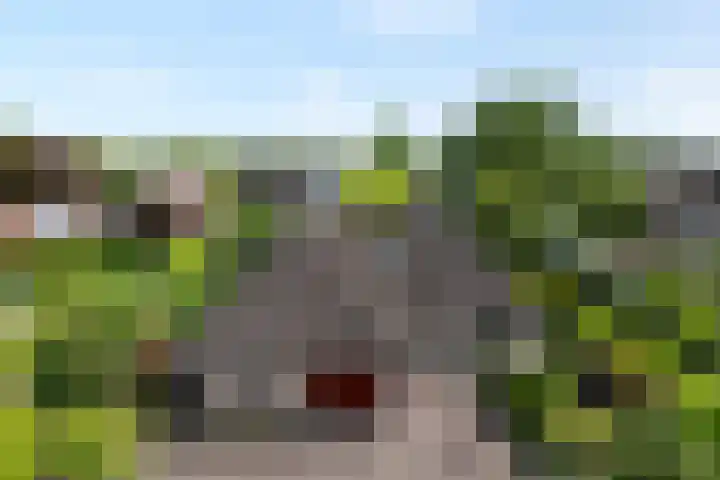 Scholtieskamp 7 Ruinerwold thumbnail 50