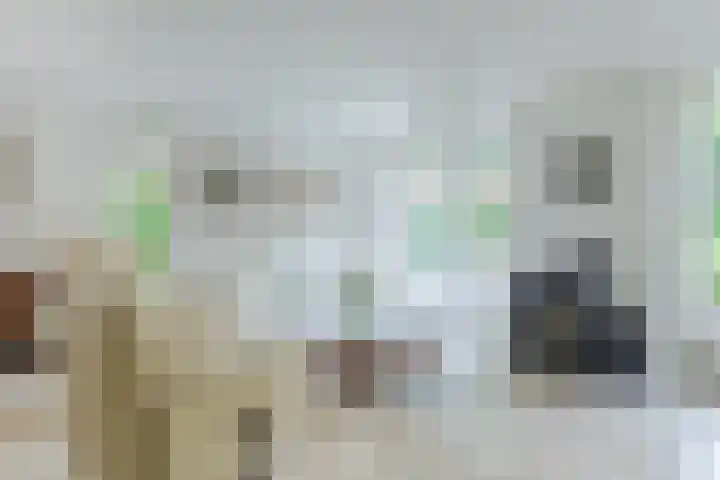 Scholverbos 61 Rijen thumbnail 10