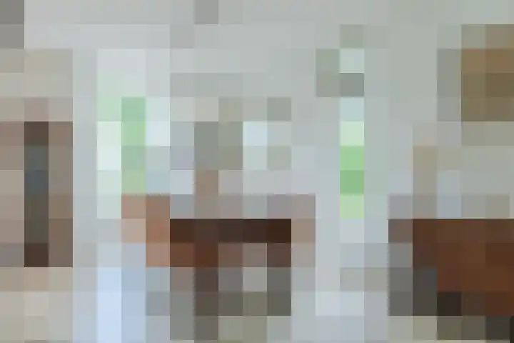 Scholverbos 61 Rijen thumbnail 13