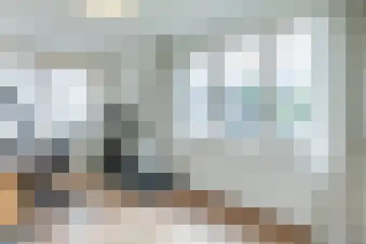 Scholverbos 61 Rijen thumbnail 26