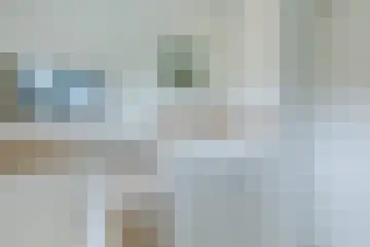 Scholverbos 61 Rijen thumbnail 33
