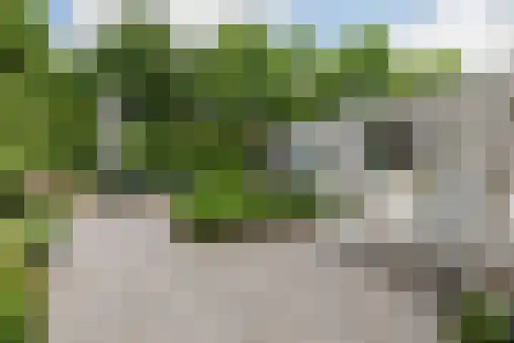 Scholverbos 61 Rijen thumbnail 40
