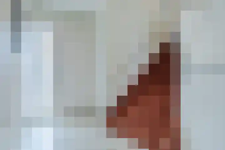 Scholverbos 61 Rijen thumbnail 7