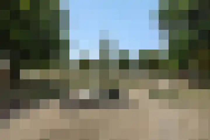 Schommerveld 52 Deurne thumbnail 40