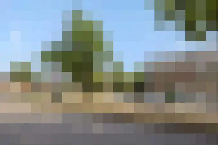 Schommerveld 52 Deurne thumbnail 43